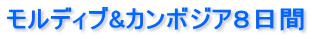 モルディブ&カンボジア8日間