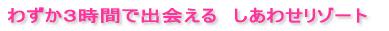 わずか3時間で出会える しあわせハネムーンリゾート