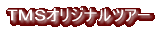 TMSオリジナルのハワイハネムーンツアー