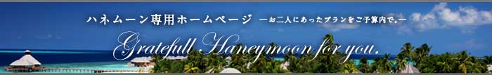 �n�l���[����p�z�[���y�[�W -����l�ɂ������v���������\�Z�ȓ���-
