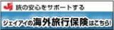 �W�F�C�A�C�̊C�O���s�ی�