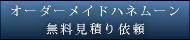 �n�l���[������