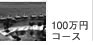 100���~�R�[�X