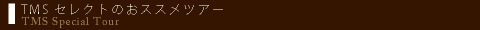 TMS�n�l���[���������߃c�A�[
