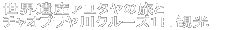 観光について