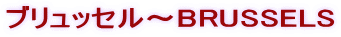 �u�����b�Z���`BRUSSELS