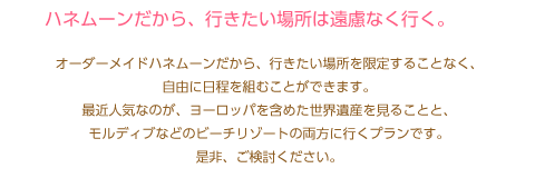 ハネムーンだから、行きたい場所は遠慮なく行く。オーダーメイドハネムーンだから、行きたい場所を限定することなく、自由に日程を組むことができます。最近人気なのが、ヨーロッパを含めた世界遺産を見ることと、モルディブなどのビーチリゾートの両方に行くプランです。ぜひ、ご検討ください。