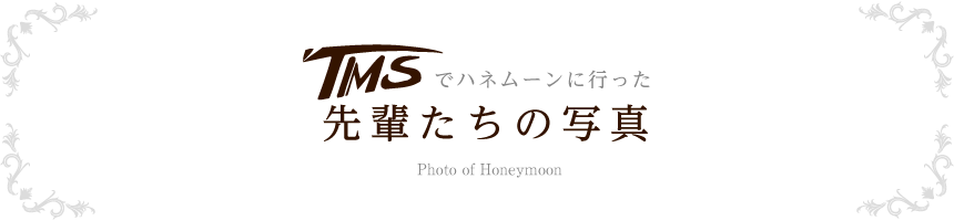 先輩たちの写真