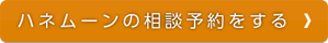ハネムーンの相談をする
