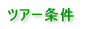 ツアー条件