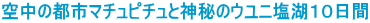 �󒆂̓s�s�}�`���s�`���Ɛ_��̃E���j���΂P�O����