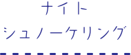 ナイトシュノーケリング