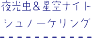 夜光虫＆星空ナイトシュノーケリング