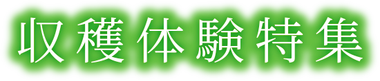 収穫体験特集