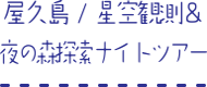 屋久島/星空観測＆夜の森探索ナイトツアー