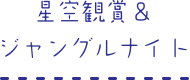 星空観賞＆ジャングルナイト