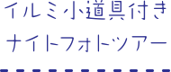 イルミ小道具付きナイトフォトツアー