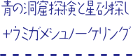 青の洞窟探検と星砂探し＋ウミガメシュノーケリング