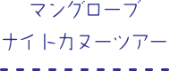 マングローブナイトカヌーツアー